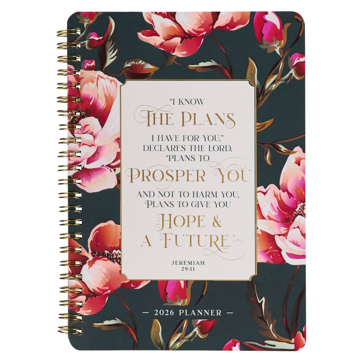 I Know the Plans Daily Planner 2026