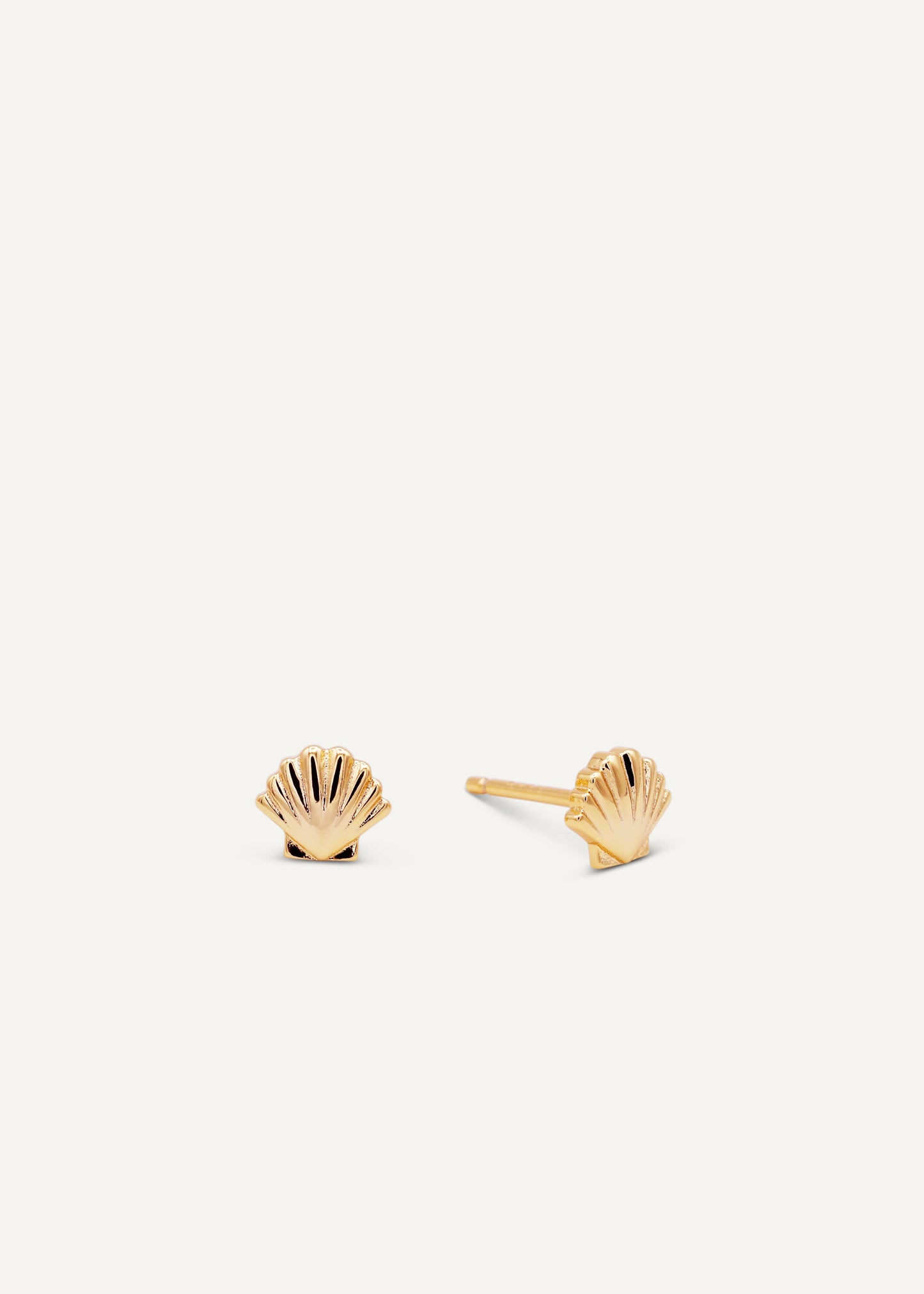 Seashell - Gold Earrings