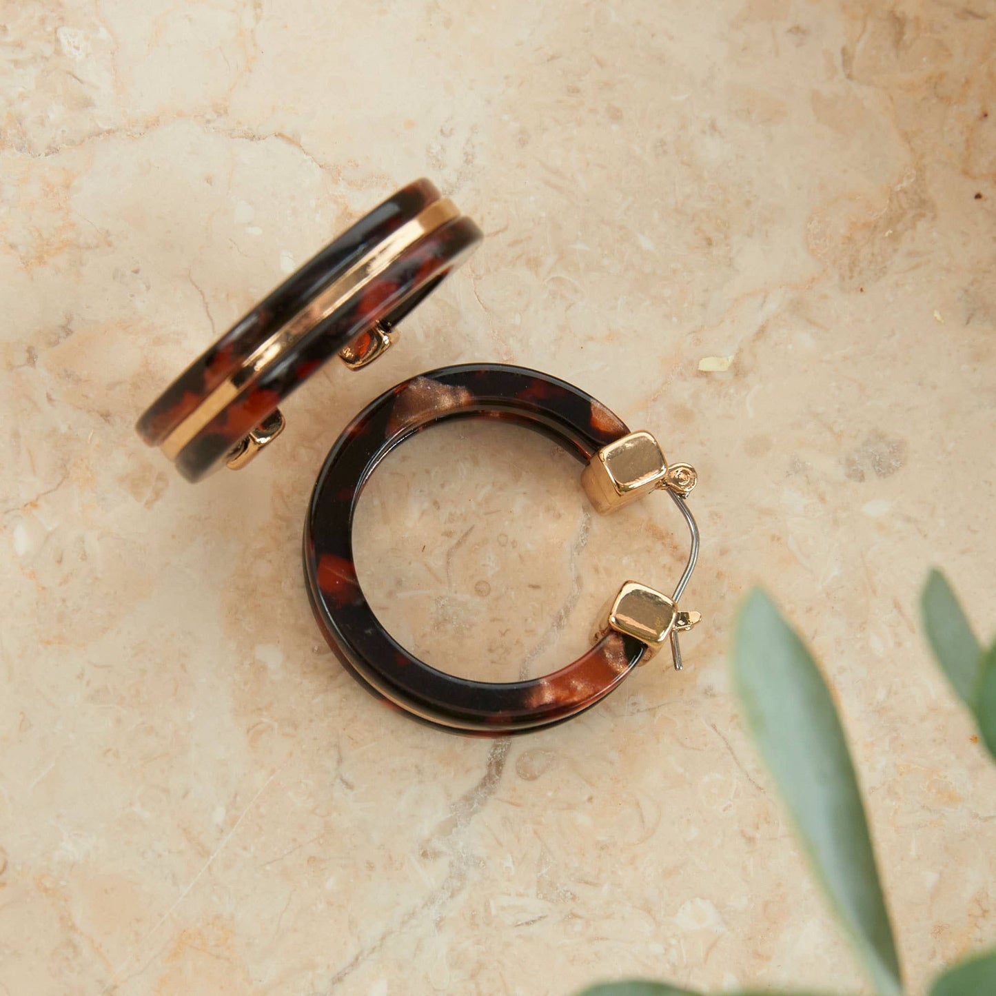 Sloane Tortoiseshell Circle Acrylic Hoop Earring: Classic Tortoise