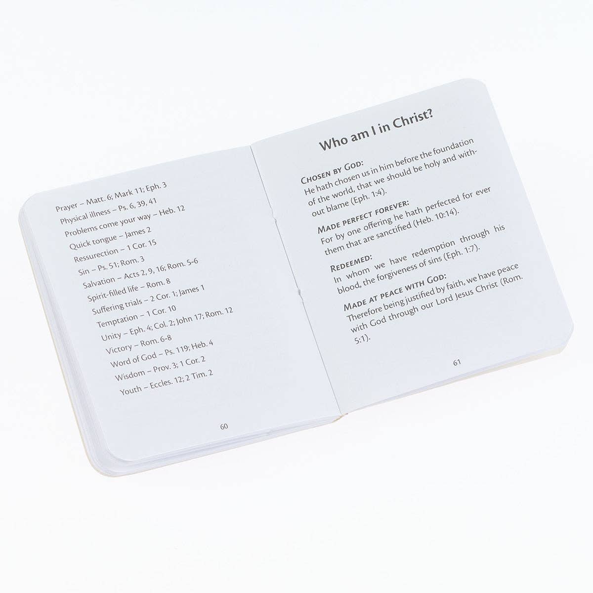 My Little Bible Light Taupe